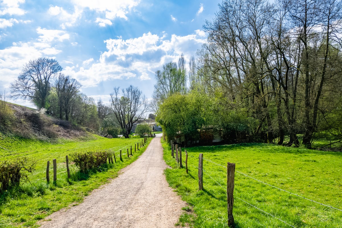 A szolgalmi jog főleg csak akkor kerül elő, amikor gond van